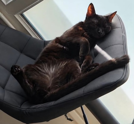 Adopter Nedjem et Abasi