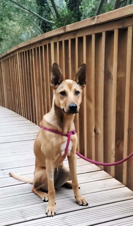 Adopter Zuka