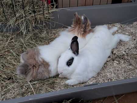 Adopter Liliane et José