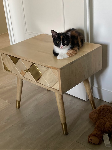 Adopter Pimprenelle