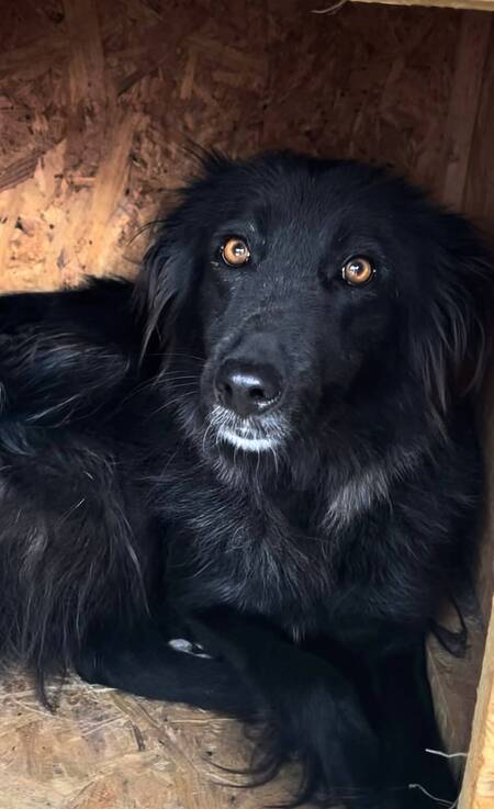 Adopter Lia