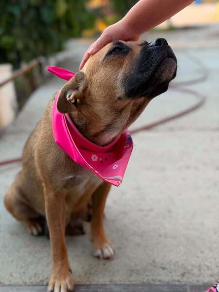 Adopter Madeleine