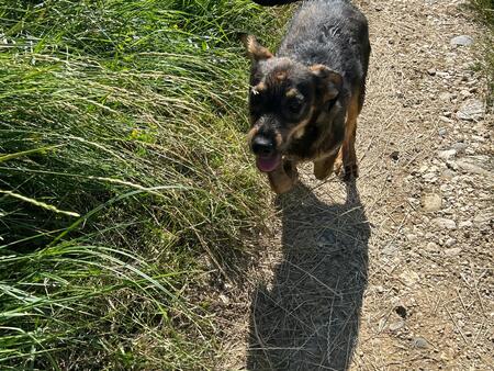 Adopter Leni