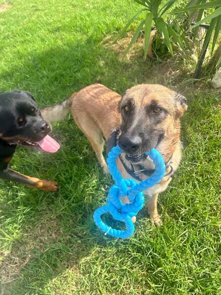 Adopter Yina