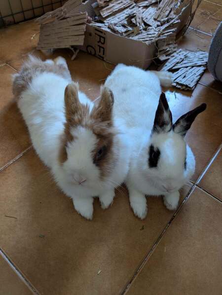 Adopter Liliane et José