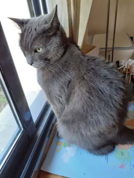 Adopter Chagall