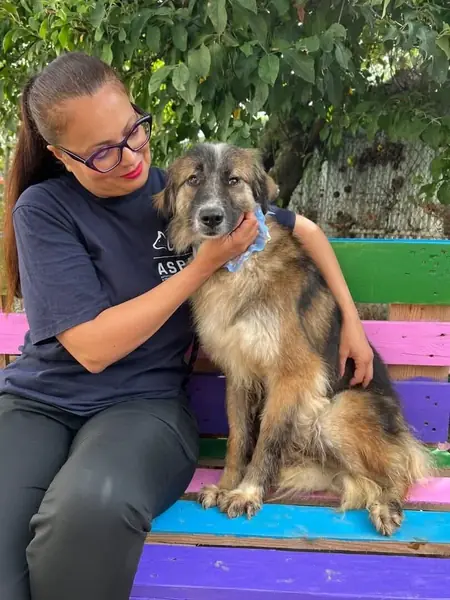 Adopter Brooklyn