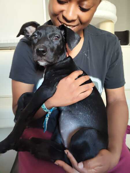 Adopter Mimi