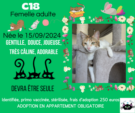 Adopter C18