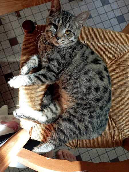 Adopter Bonnie