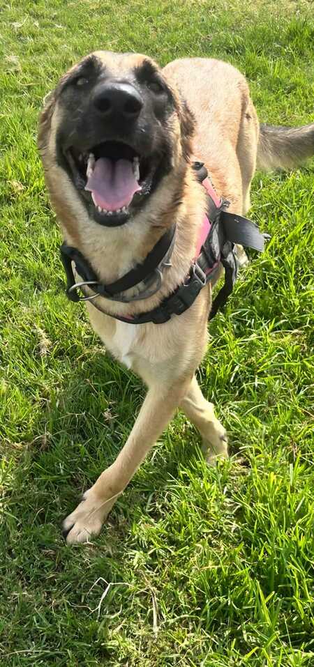 Adopter Yina