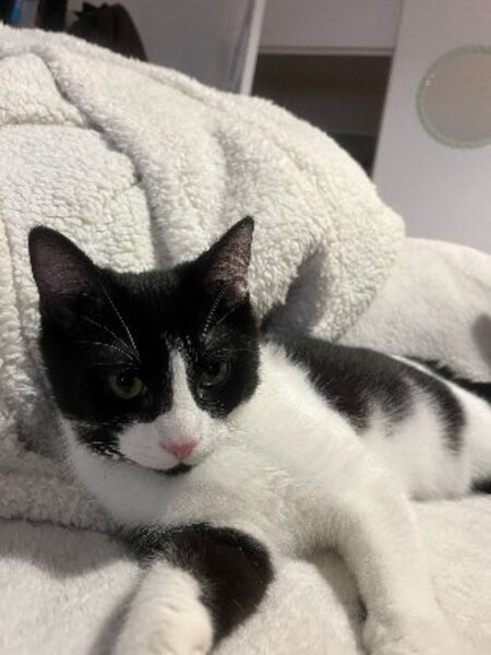 Adopter Aby et fena