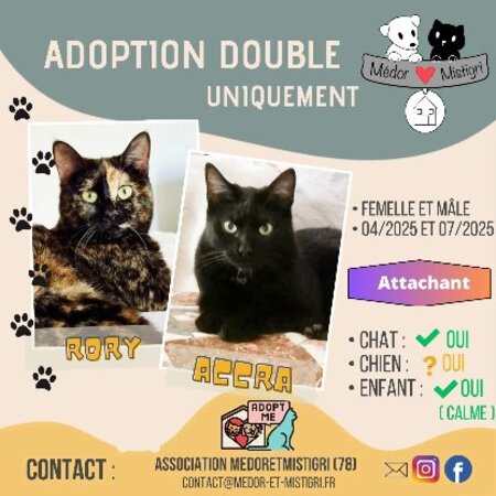 Adopter Accra et rory