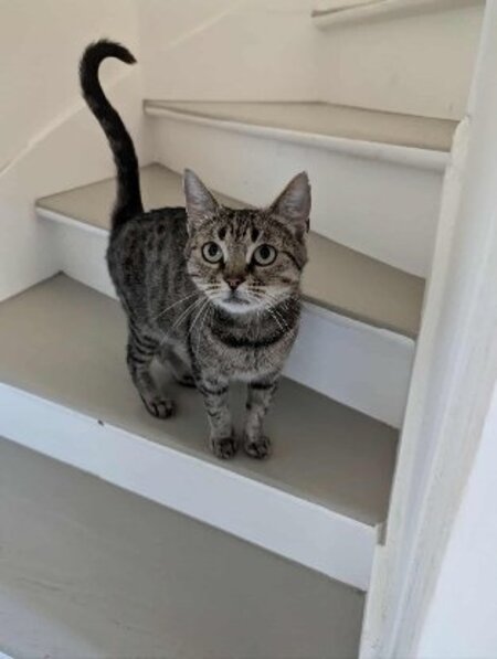 Adopter Aphrodite