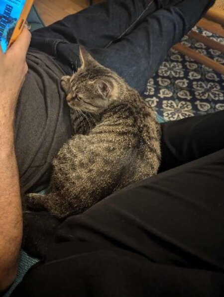 Adopter Aphrodite