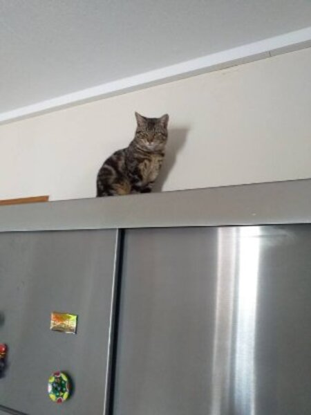 Adopter Artiste et aria