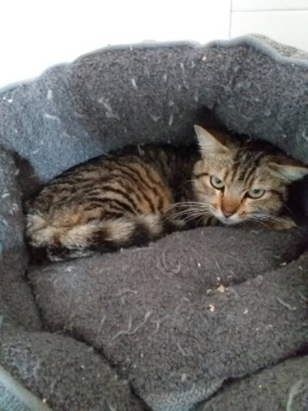 Adopter Artiste et aria