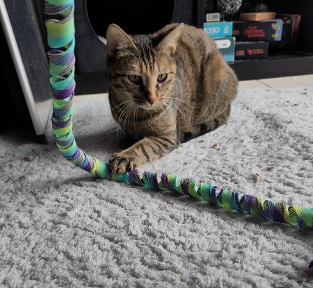 Adopter Athéna