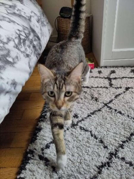 Adopter Baya & lexie