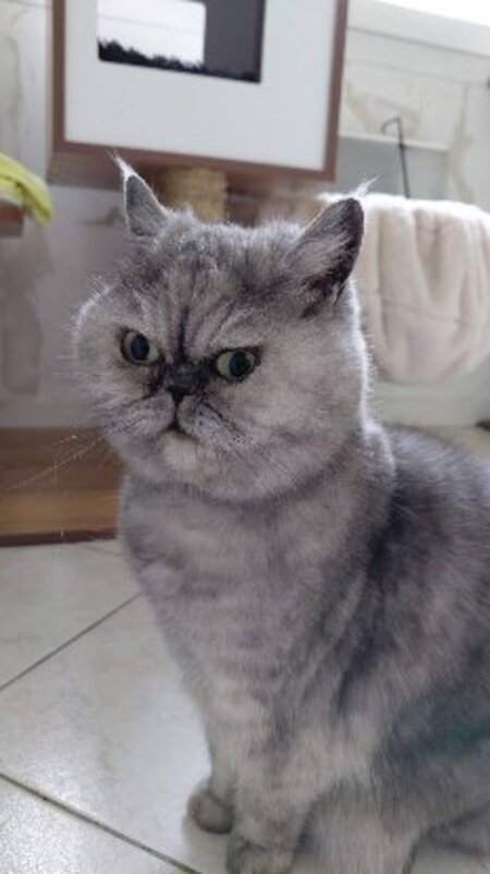 Adopter Beauté