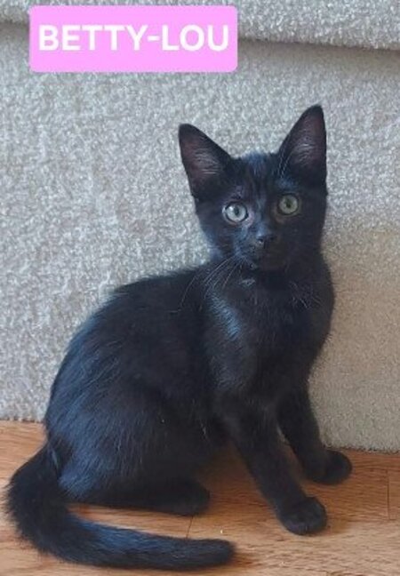 Adopter Betty