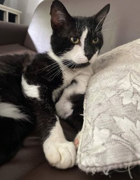 Adopter Bouty