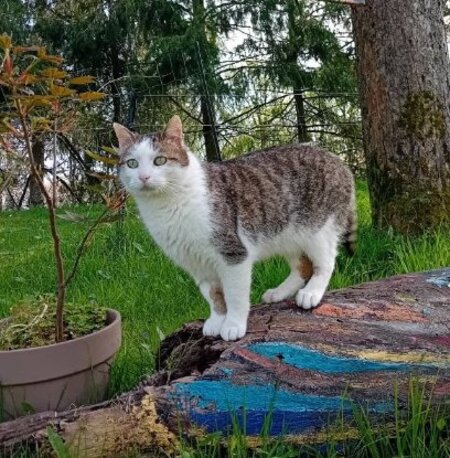 Adopter Chantal