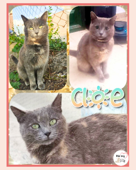 Adopter Cloe