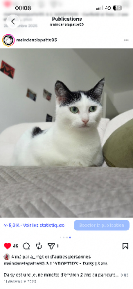Adopter Daisy