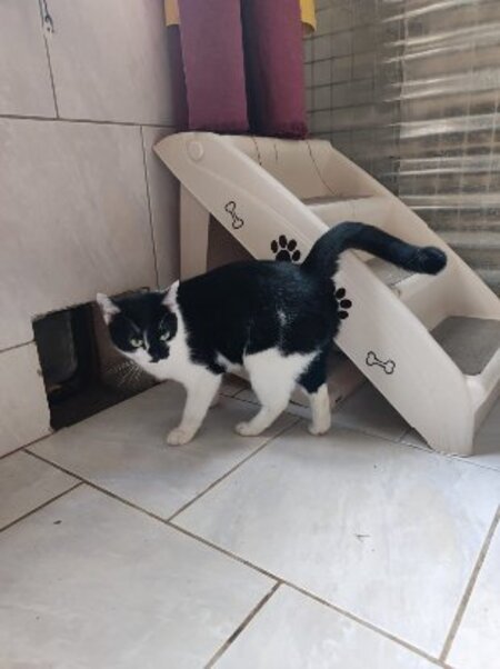 Adopter Delta