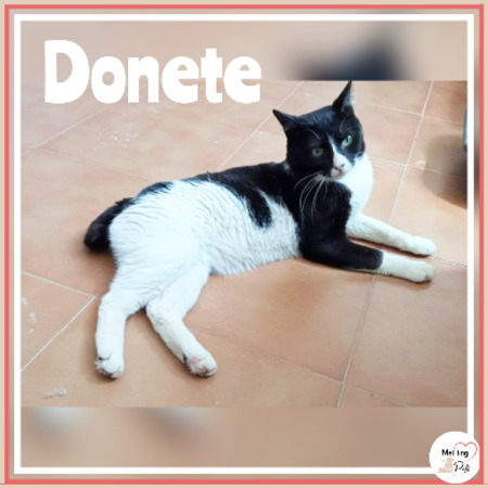 Adopter Donete