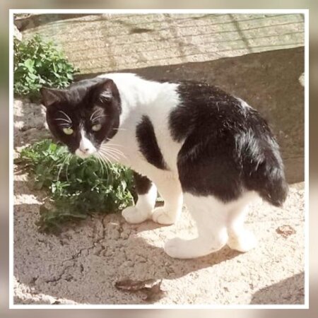 Adopter Donete