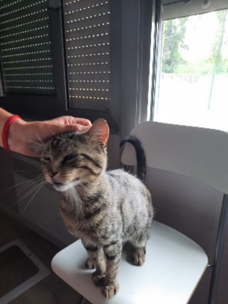 Adopter Doudou