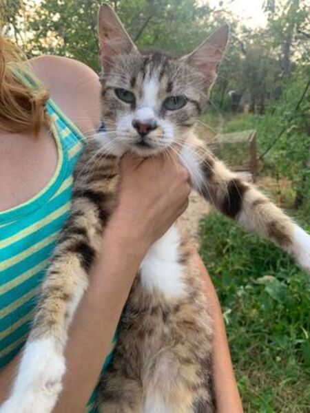 Adopter Elois