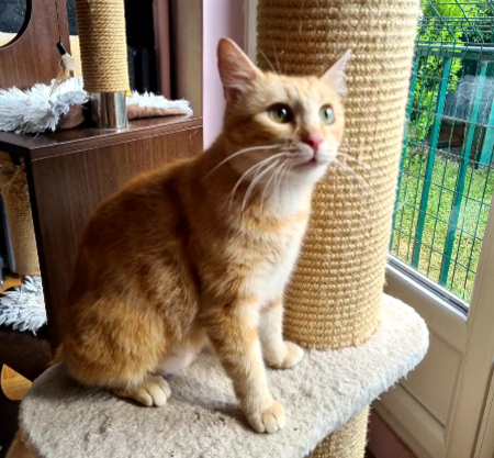 Adopter éloïse