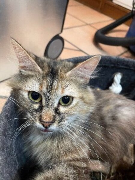 Adopter Emma