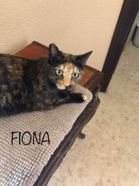 Adopter Fiona