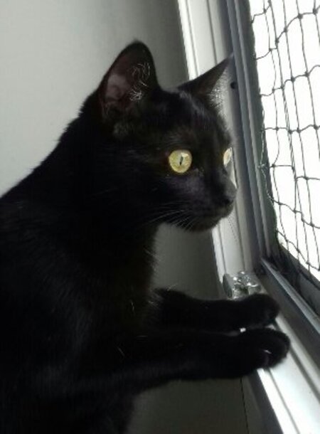 Adopter Fleur