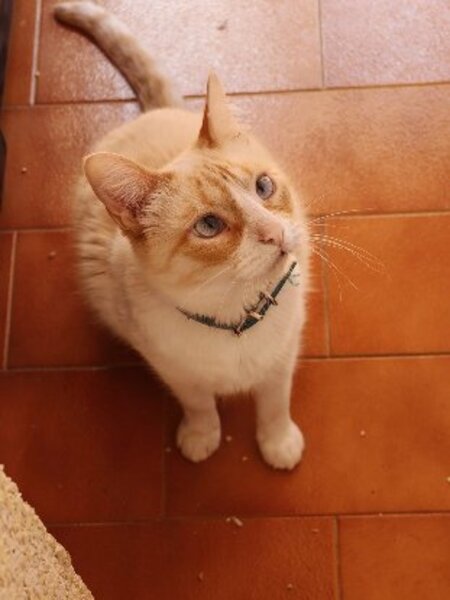 Adopter Jacob