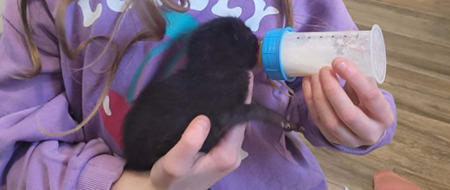 Adopter Jasmine