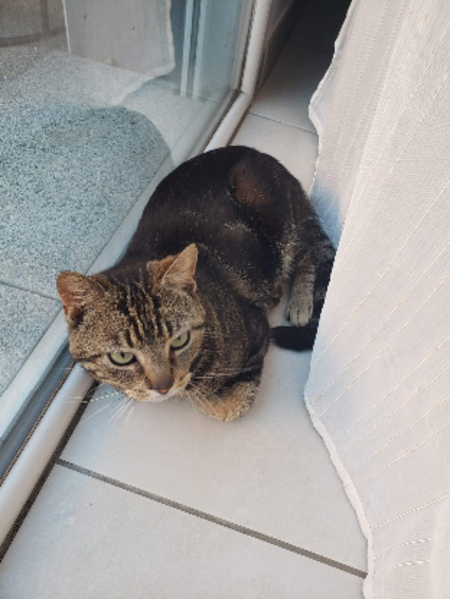 Adopter Jean
