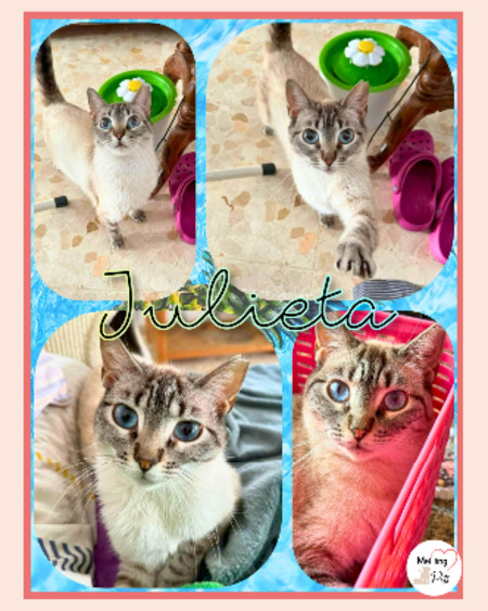 Adopter Julieta