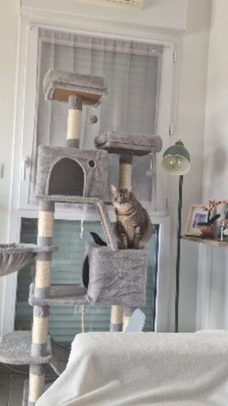 Adopter Lilloute