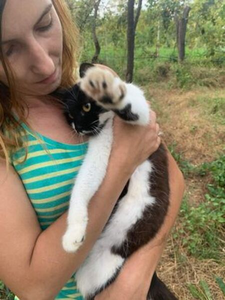Adopter Lima