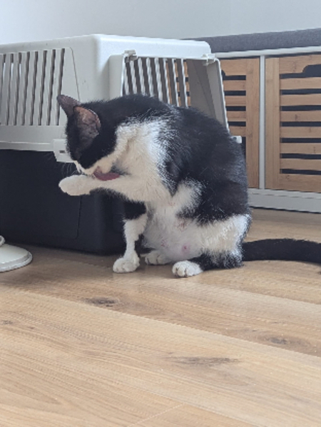 Adopter Makita