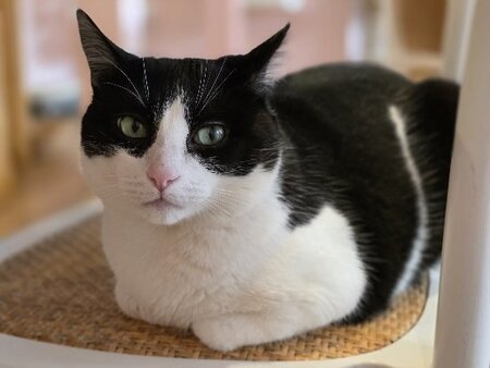 Adopter Maroussia