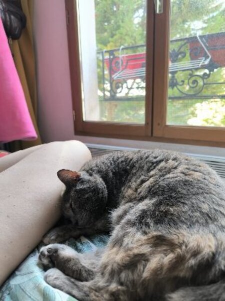 Adopter Michat