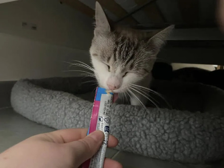 Adopter Mielle