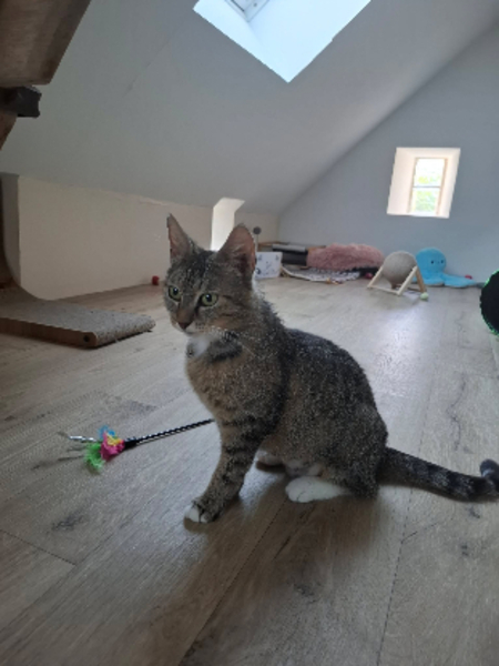 Adopter Mimi
