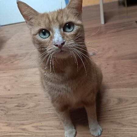 Adopter Nana